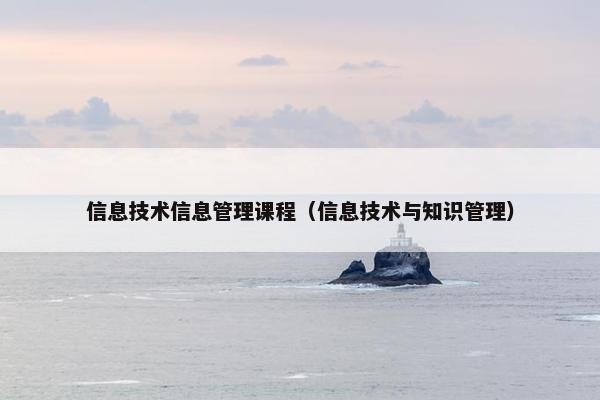 信息技术信息管理课程（信息技术与知识管理）