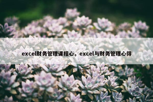 excel财务管理课程心，excel与财务管理心得