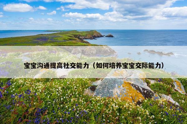宝宝沟通提高社交能力（如何培养宝宝交际能力）