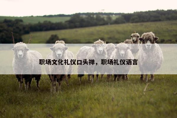 职场文化礼仪口头禅，职场礼仪语言