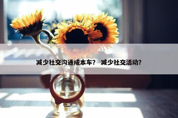 减少社交沟通成本车？ 减少社交活动？