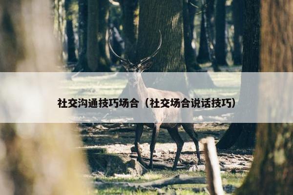 社交沟通技巧场合（社交场合说话技巧）