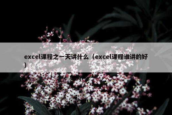 excel课程之一天讲什么（excel课程谁讲的好）