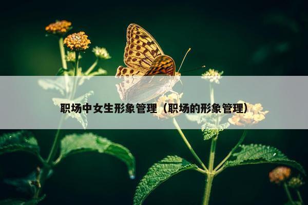 职场中女生形象管理（职场的形象管理）