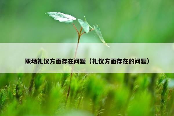 职场礼仪方面存在问题（礼仪方面存在的问题）