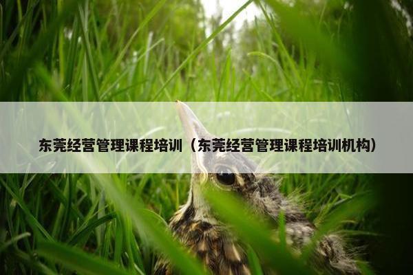 东莞经营管理课程培训（东莞经营管理课程培训机构）