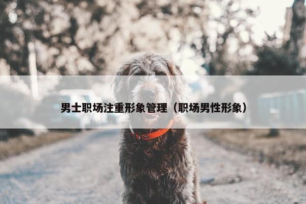 男士职场注重形象管理（职场男性形象）