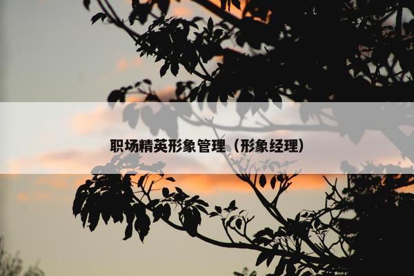 职场精英形象管理（形象经理）