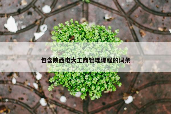 包含陕西电大工商管理课程的词条