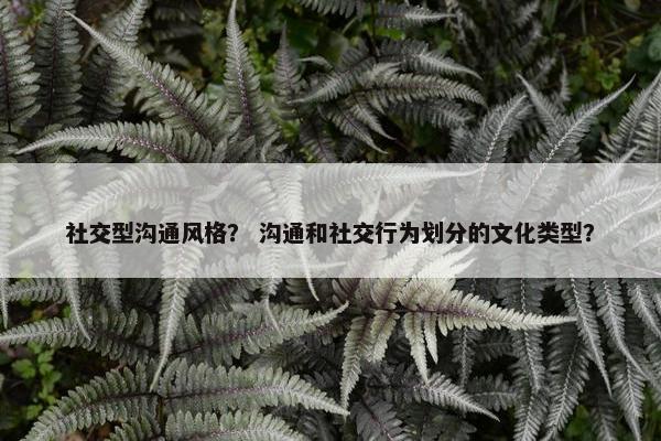 社交型沟通风格？ 沟通和社交行为划分的文化类型？