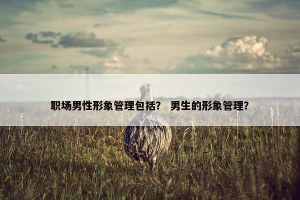 职场男性形象管理包括？ 男生的形象管理？