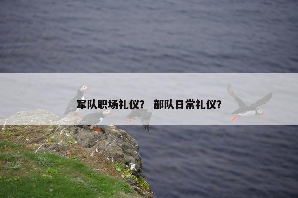 军队职场礼仪？ 部队日常礼仪？
