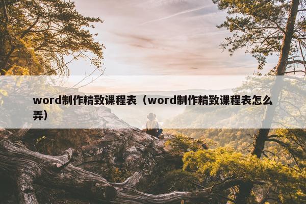 word制作精致课程表（word制作精致课程表怎么弄）