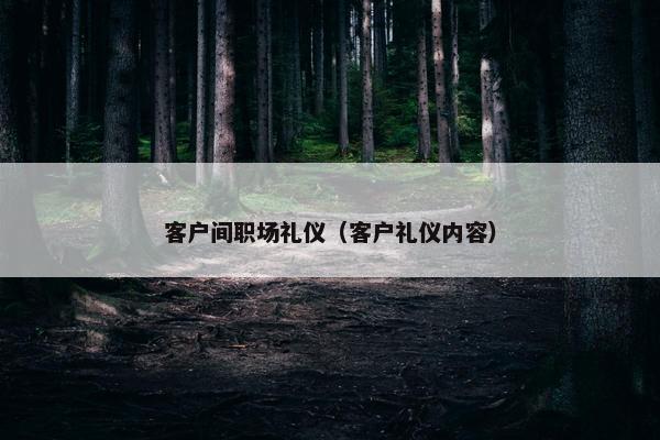 客户间职场礼仪（客户礼仪内容）