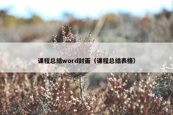 课程总结word封面（课程总结表格）