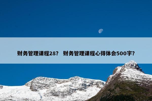 财务管理课程28？ 财务管理课程心得体会500字？