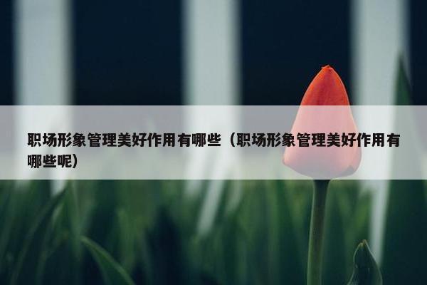 职场形象管理美好作用有哪些（职场形象管理美好作用有哪些呢）
