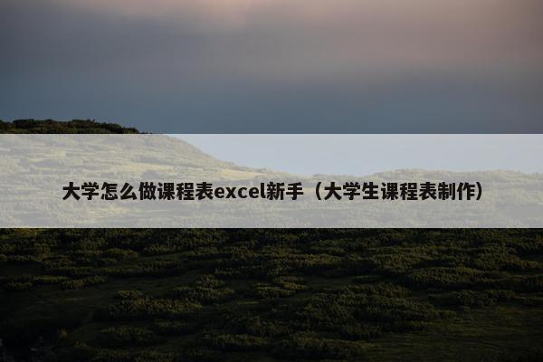 大学怎么做课程表excel新手（大学生课程表制作）