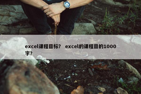 excel课程目标？ excel的课程目的1000字？