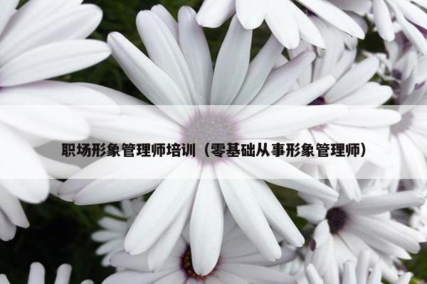 职场形象管理师培训（零基础从事形象管理师）