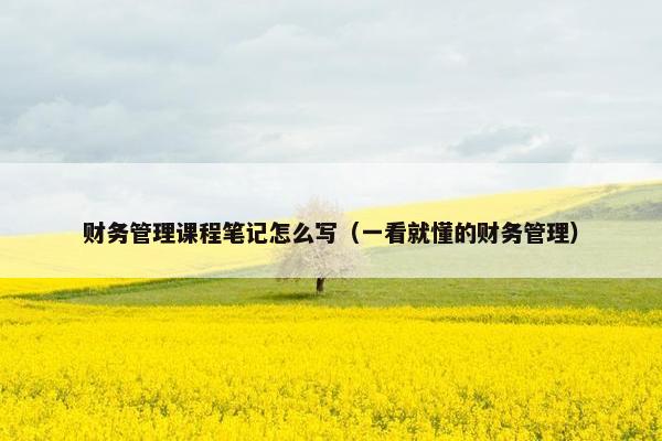 财务管理课程笔记怎么写（一看就懂的财务管理）