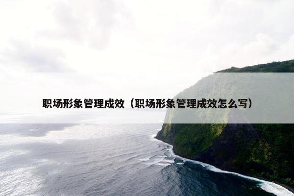 职场形象管理成效（职场形象管理成效怎么写）