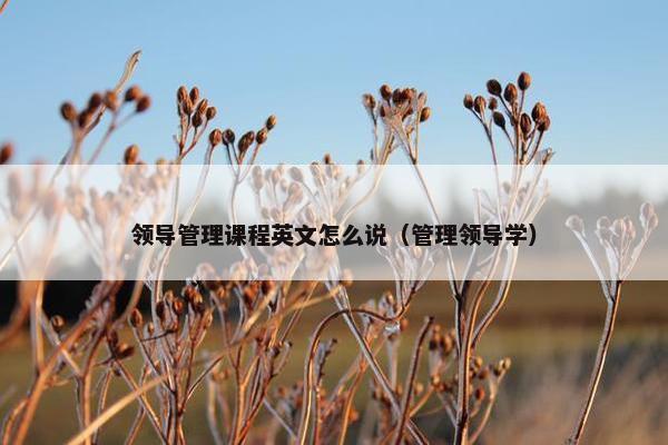领导管理课程英文怎么说（管理领导学）