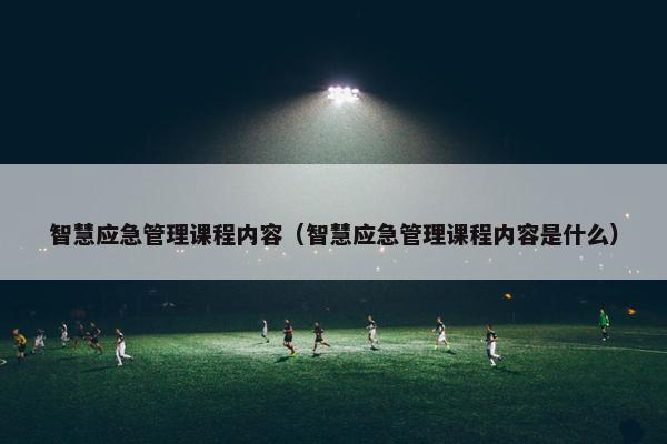 智慧应急管理课程内容（智慧应急管理课程内容是什么）