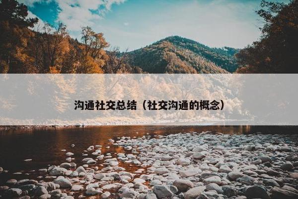 沟通社交总结（社交沟通的概念）