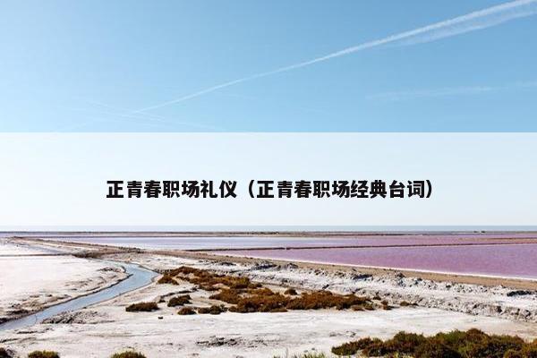 正青春职场礼仪（正青春职场经典台词）