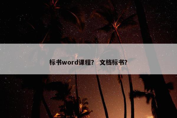 标书word课程？ 文档标书？