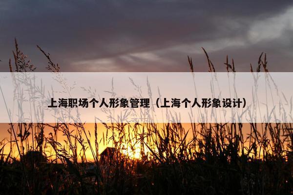 上海职场个人形象管理（上海个人形象设计）
