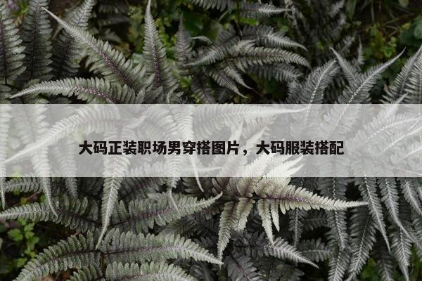 大码正装职场男穿搭图片，大码服装搭配