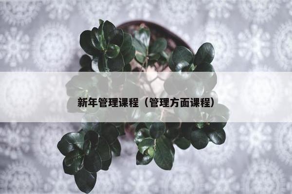 新年管理课程（管理方面课程）