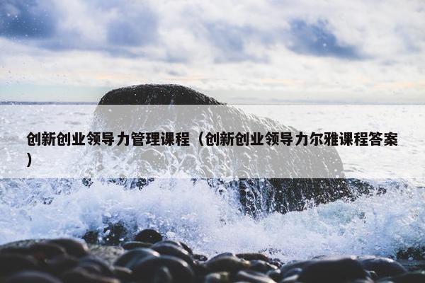 创新创业领导力管理课程（创新创业领导力尔雅课程答案）