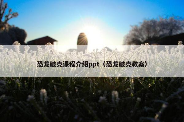 恐龙破壳课程介绍ppt（恐龙破壳教案）