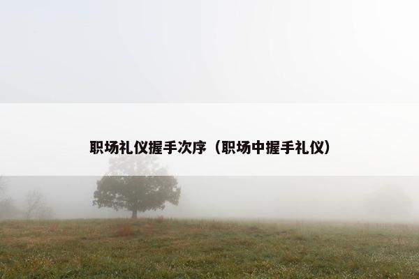 职场礼仪握手次序（职场中握手礼仪）