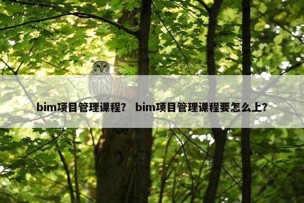 bim项目管理课程？ bim项目管理课程要怎么上？