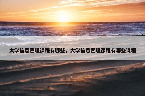 大学信息管理课程有哪些，大学信息管理课程有哪些课程
