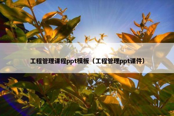 工程管理课程ppt模板（工程管理ppt课件）