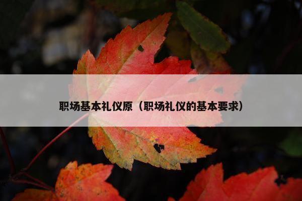 职场基本礼仪原（职场礼仪的基本要求）