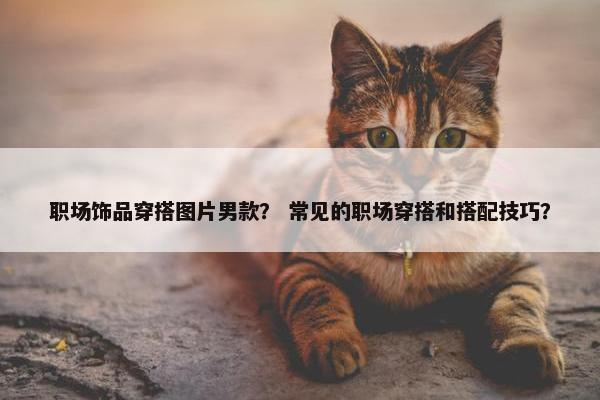职场饰品穿搭图片男款？ 常见的职场穿搭和搭配技巧？