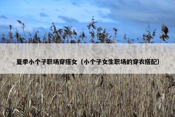 夏季小个子职场穿搭女（小个子女生职场的穿衣搭配）