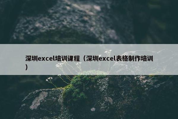 深圳excel培训课程（深圳excel表格制作培训）