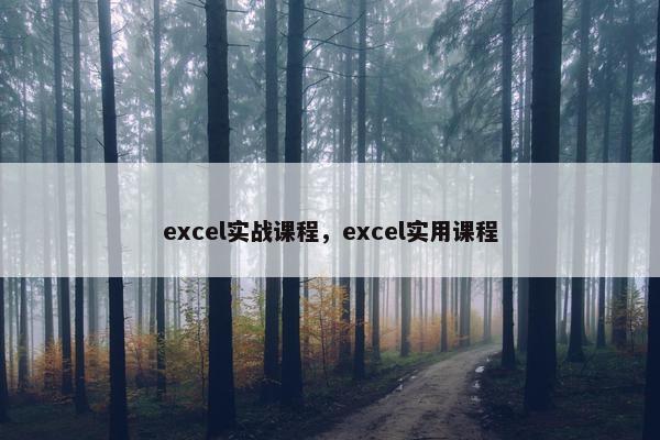 excel实战课程，excel实用课程