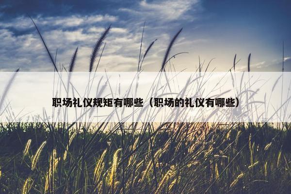 职场礼仪规矩有哪些（职场的礼仪有哪些）