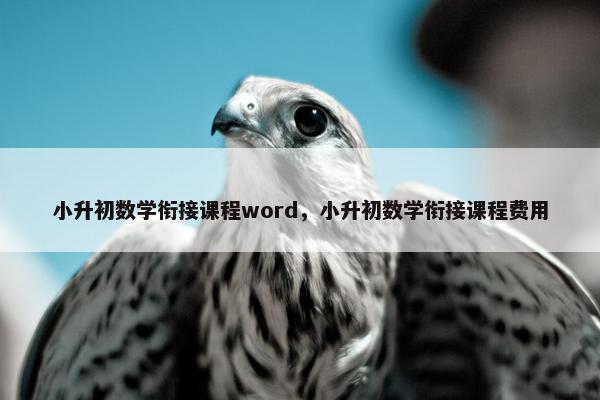 小升初数学衔接课程word，小升初数学衔接课程费用