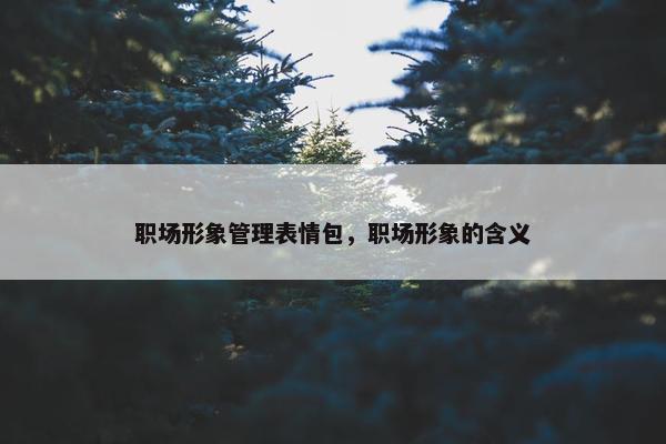 职场形象管理表情包，职场形象的含义