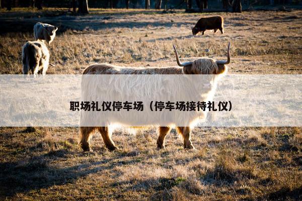 职场礼仪停车场（停车场接待礼仪）