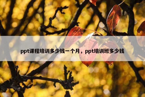 ppt课程培训多少钱一个月，ppt培训班多少钱